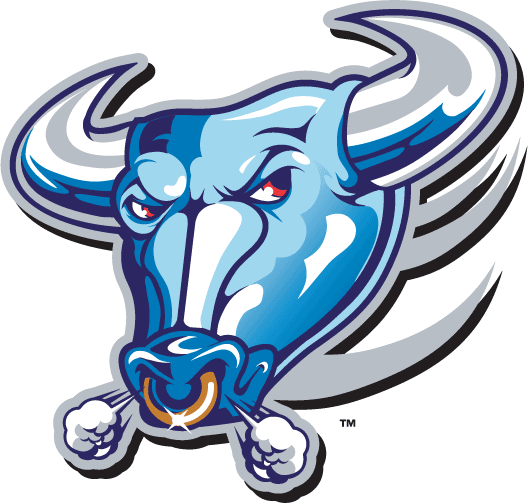 Buffalo Bulls 1997-2006 Alternate Logo diy fabric transfer